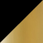 Matte Black with Champagne Gold Interior (CBGD)